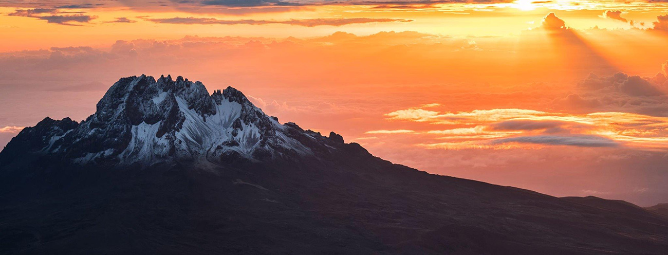 african travel company