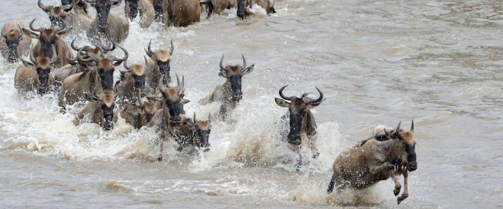 When is the Best Time to Travel to Tanzania?