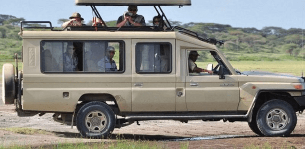 Tanzanian Safari